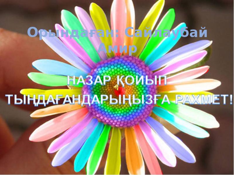 Орындаған: Сайлаубай Амир