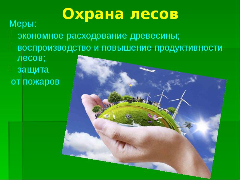 Охрана природы охрана жизни. Охрана лесов. Защита леса. Охрана природы леса. Сохранение лесов.