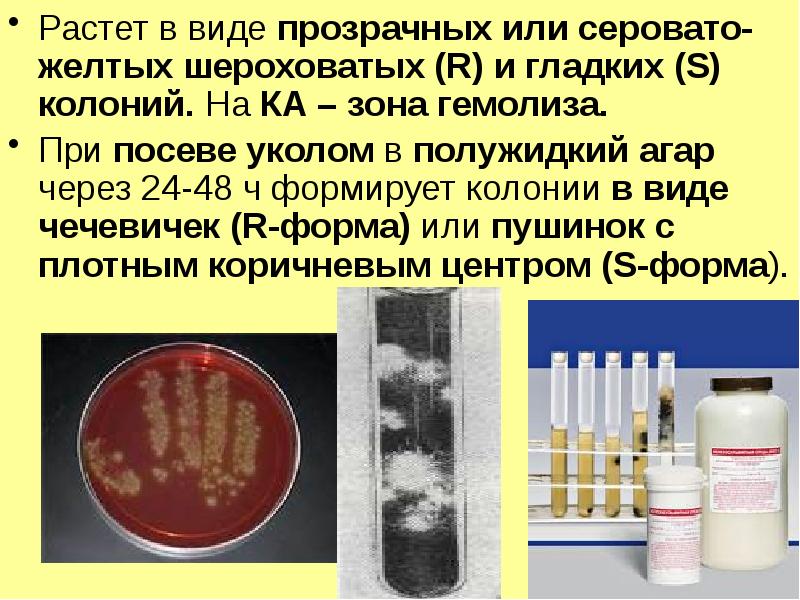 Реферат: Клостридіальна анаеробна інфекція