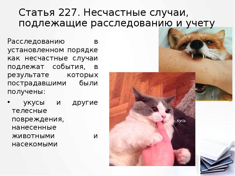 Статья 227. Несчастные случаи, подлежащие расследованию и учету
Расследованию в установленном Статья 227. Несчастные случаи, подлежащие расследованию и учету
Расследованию в установленном