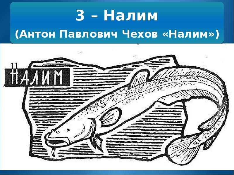 На рисунке изображены сом и налим длина налима 80 см какова