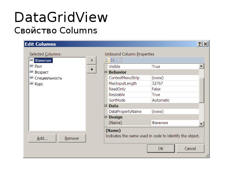 DataGridView Свойство Columns
