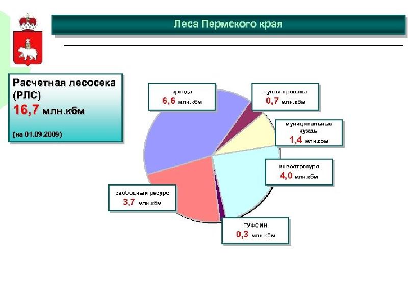 Сколько профессиональных. Расчетная лесосека Пермский край. Расчетная лесосека. Перспективы развития Перми. Количество общеобразовательных организаций Пермского края.