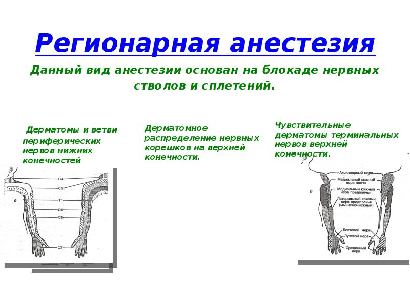 Обезболивание в травматологии презентация