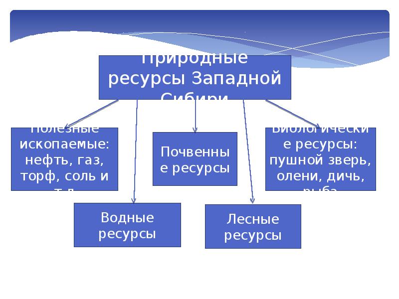 Природные ресурсы сибири проект