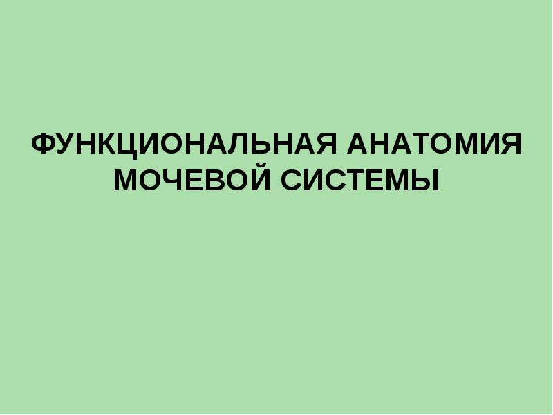 Функциональная анатомия презентация