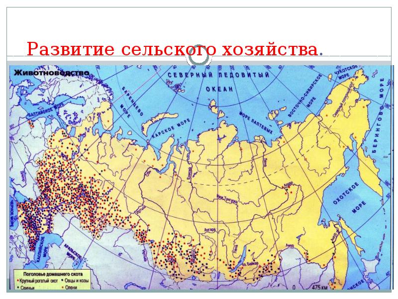 Карта растениеводства мира