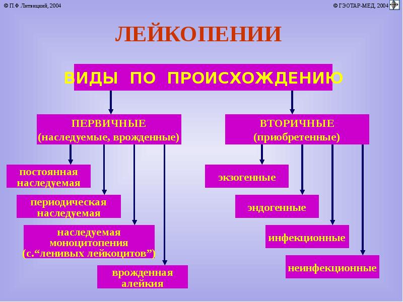 Механизм развития лейкопении