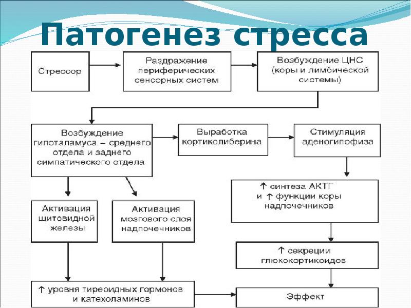 Экстремальные состояния патофизиология презентация