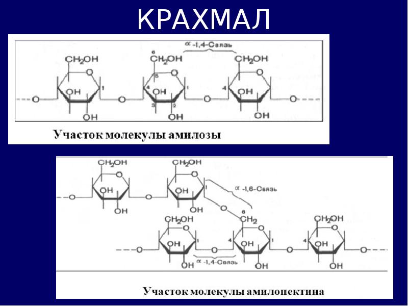 Окисление молекул крахмала. Гликолиз крахмала схема. Промежуточные продукты гликолиза крахмала. Молекула крахмала. Амилоза крахмала.