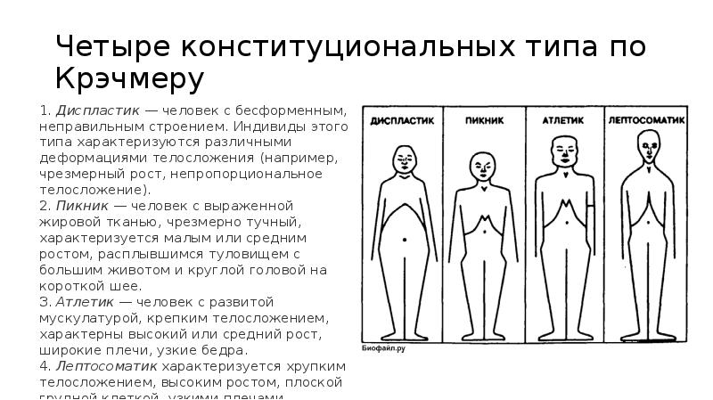 Схемы конституциональной диагностики галанта