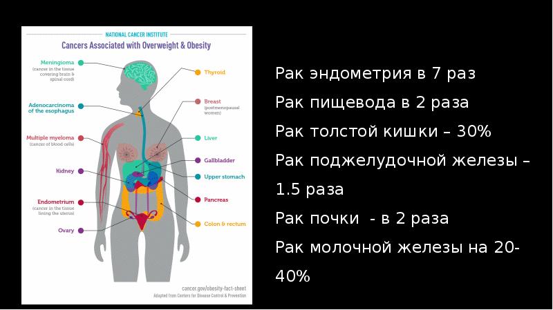 Онкология презентация для школьников