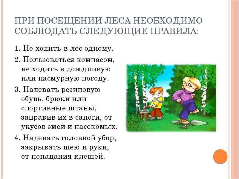 Инструктаж по технике безопасности на летних каникулах для родителей презентация