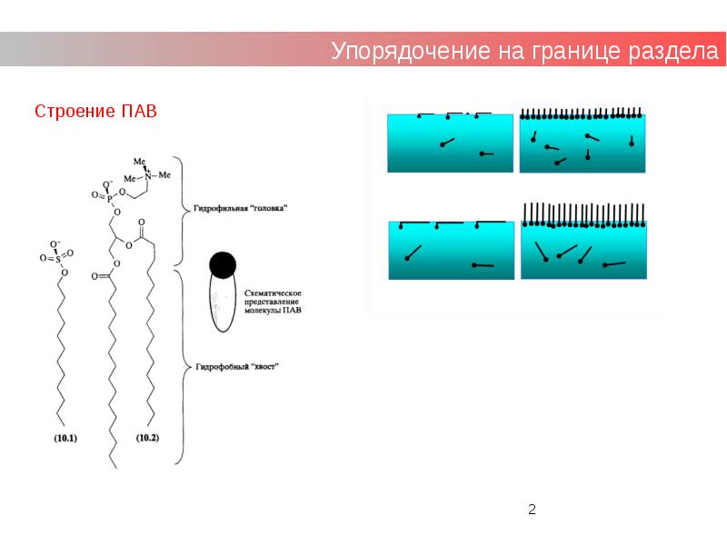 Пав презентация химия