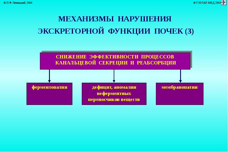 Нарушение функции почек. Основные механизмы нарушений экскреторной функции почек. Механизмы нарушения экскреторной функции почек. Механизмы нарушения функций почек схема. Нарушение канальцевой секреции почек патофизиология.