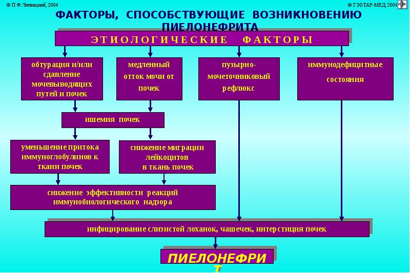 Блок схема механизмы нарушения функций почек