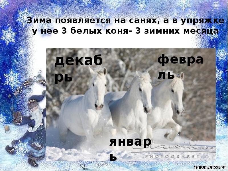 Конь минус и текст. Имена трех белых коней. Самый холодный зимний месяц. Картинка три белых коня декабрь январь и февраль. Текст песни три белых коня декабрь январь и февраль.
