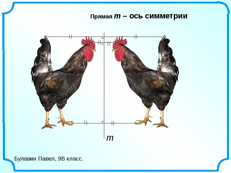 Симметрия относительно прямой презентация