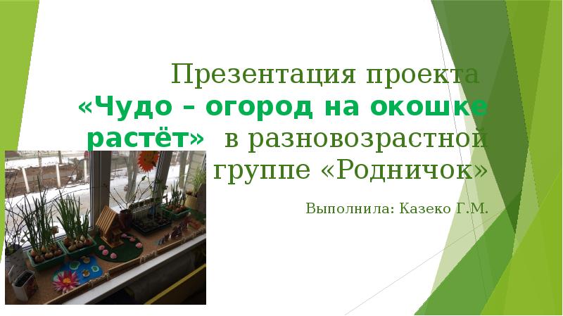 Презентация проекта «Чудо – огород на окошке растёт» в разновозрастной группе Презентация проекта «Чудо – огород на окошке растёт» в разновозрастной группе