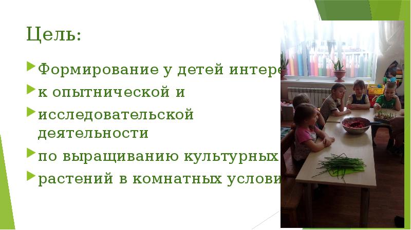Цель:
Формирование у детей интереса
к опытнической и
исследовательской деятельности
Цель:
Формирование у детей интереса
к опытнической и
исследовательской деятельности
