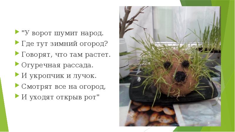 "У ворот шумит народ.
Где тут зимний огород?
Говорят, что там "У ворот шумит народ.
Где тут зимний огород?
Говорят, что там