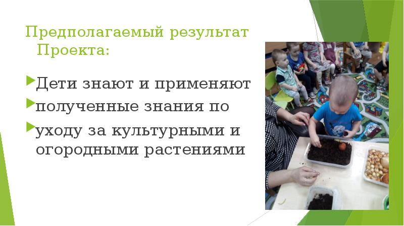 Предполагаемый результат Проекта:
Дети знают и применяют
полученные знания по Предполагаемый результат Проекта:
Дети знают и применяют
полученные знания по