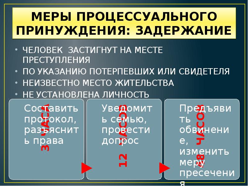 Меры процессуального принуждения презентация