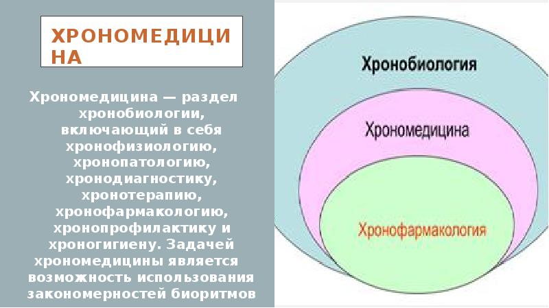 Биоритмы и хронопатология презентация