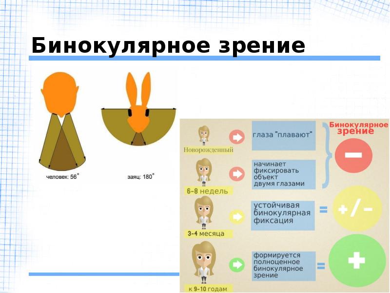 Бинокулярное зрение презентация