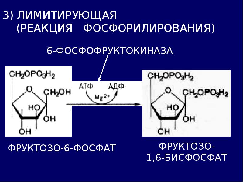 Фосфат реакция. Фосфорилирование фруктозо-6-фосфата. Фруктоза в фруктозо 6 фосфат. Фруктозо 6 фосфат формула. D фруктозо 6 фосфат.