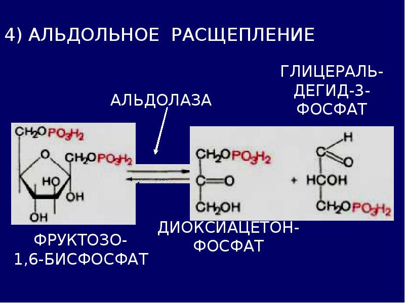 Расщепление латынь. Расщепление фруктозо 1 6 дифосфат. 1 6 Дифосфат фруктозы альдольное расщепление. Реакция альдольного расщепления гликолиз. Уравнение реакции альдольного расщепления фруктозо-1.6-дифосфата.