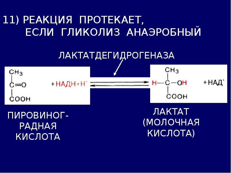 Гликолиз кислоты. Анаэробный гликолиз молочная кислота. Реакция образования лактата в гликолизе. Гликолиз молочной кислоты. Гликолиз до молочной кислоты.