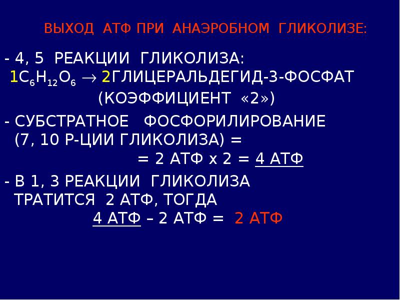 Сколько молекул атф образуется в процессе. АТФ при анаэробном гликолизе. АТФ при гликолизе. Количество АТФ при анаэробном гликолизе. Количество АТФ при аэробном гликолизе.