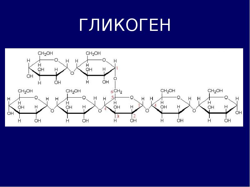 Выработка гликогена. Гликоген строение молекулы. Структурное звено гликогена. Гликоген формула. Структура гликогена.