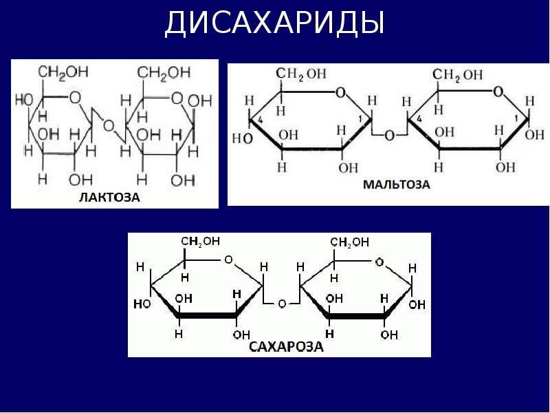 Химические свойства лактозы. Мальтоза это олигосахарид. Формула олигосахарида мальтозы. Мальтоза из Альфа Глюкозы. Глюкоза, сахароза, лактоза и мальтоза.