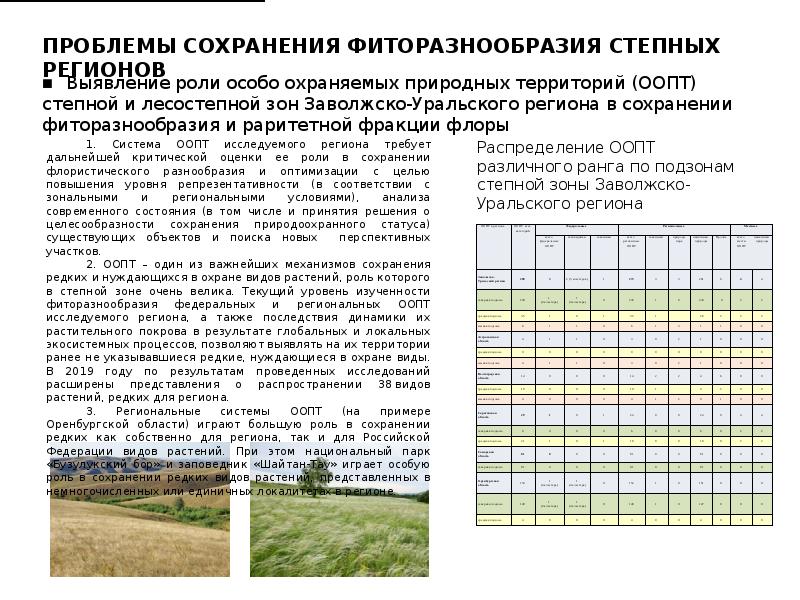 финайкинская тюльпанная степь. особо охраняемая природная территория степи. заповедники степной зоны. охраняемые территории степи. заповедники ростовской области.