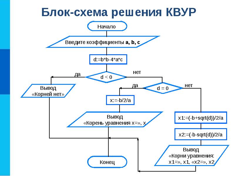 Программирование проект 10 класс