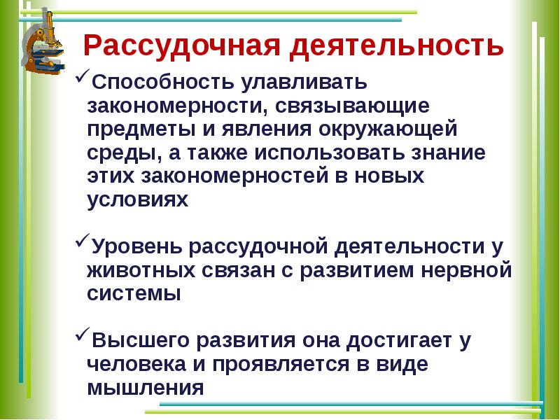 Рассудочная деятельность животных