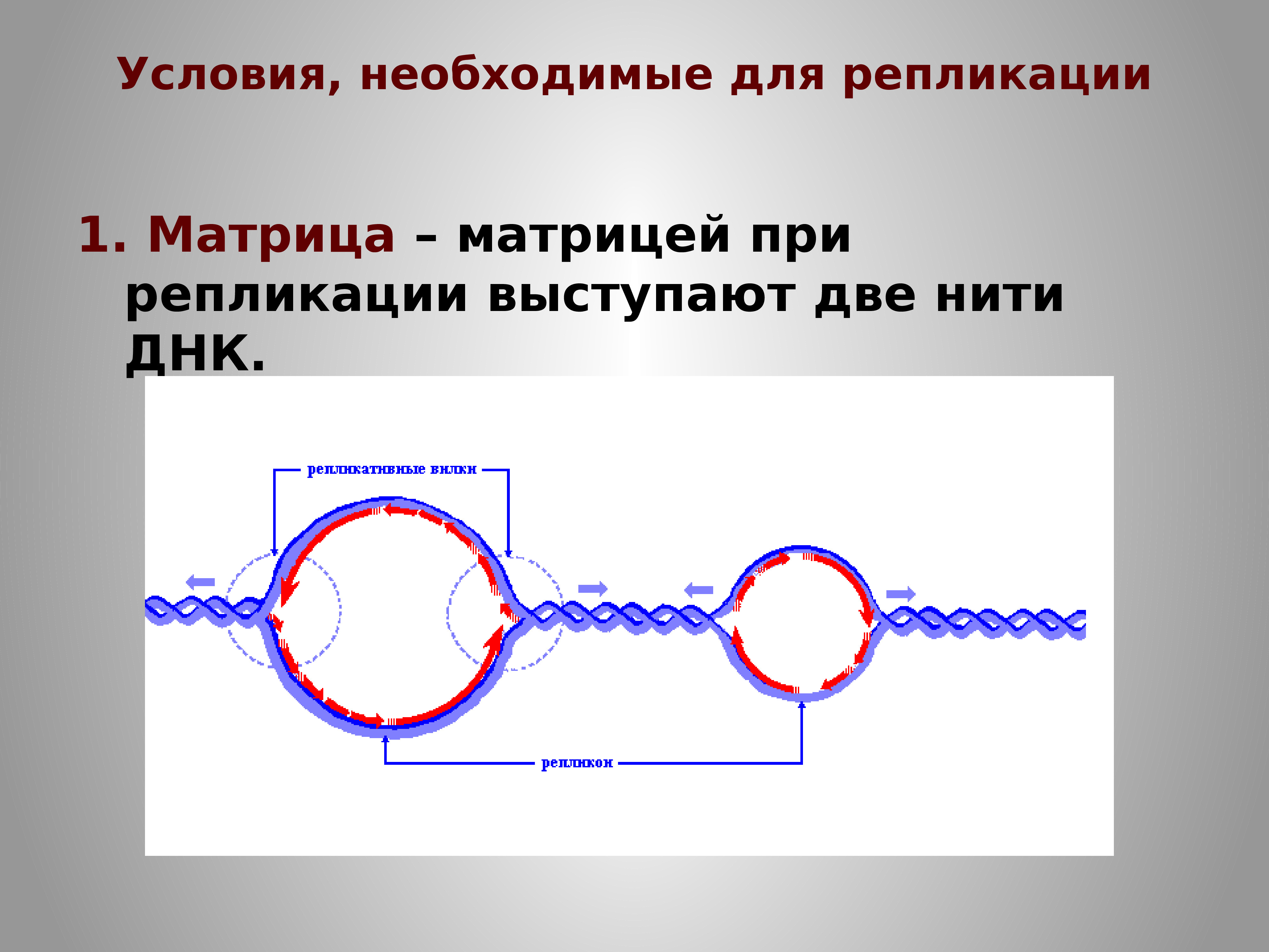 Матрица для процесса репликации. Матрица репликации. Матрицы при репликации. Матрица репликации ДНК.