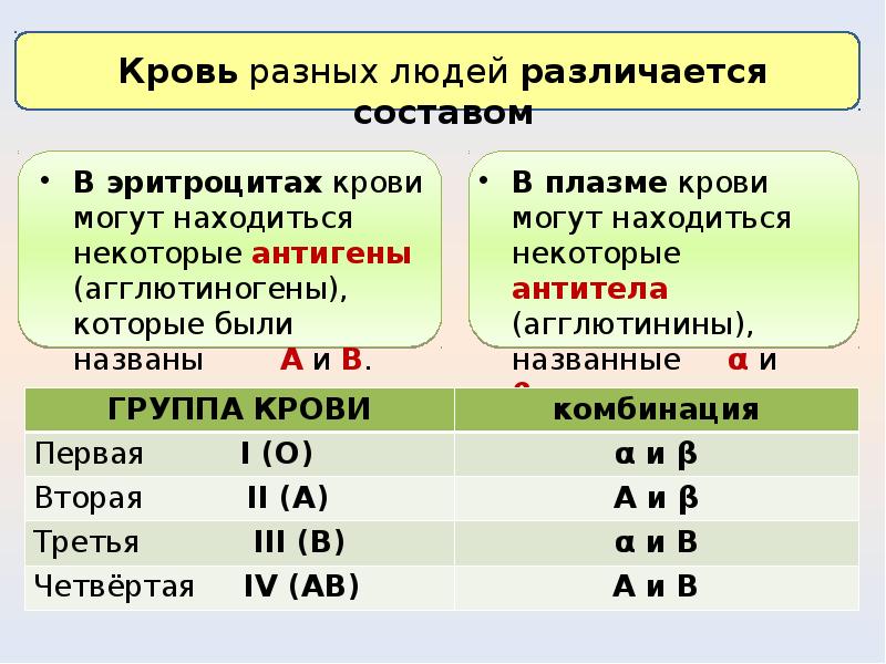 Презентация на тему группа крови