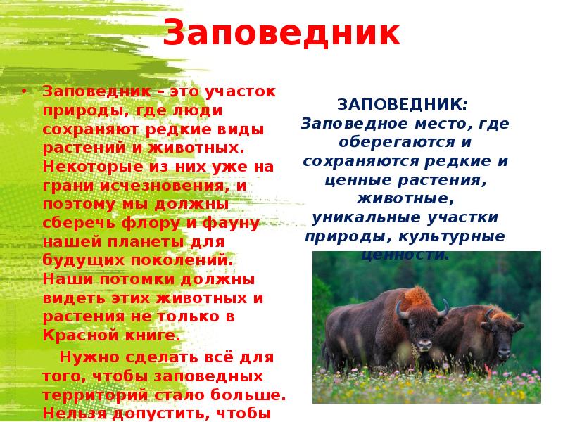 Виды заповедников. Заповедники Новгородской области презентация. Заповедники и национальные парки Новгородской области. Заповедники Новгородской области 4 класс. Заповедники сохраняют редких животных.