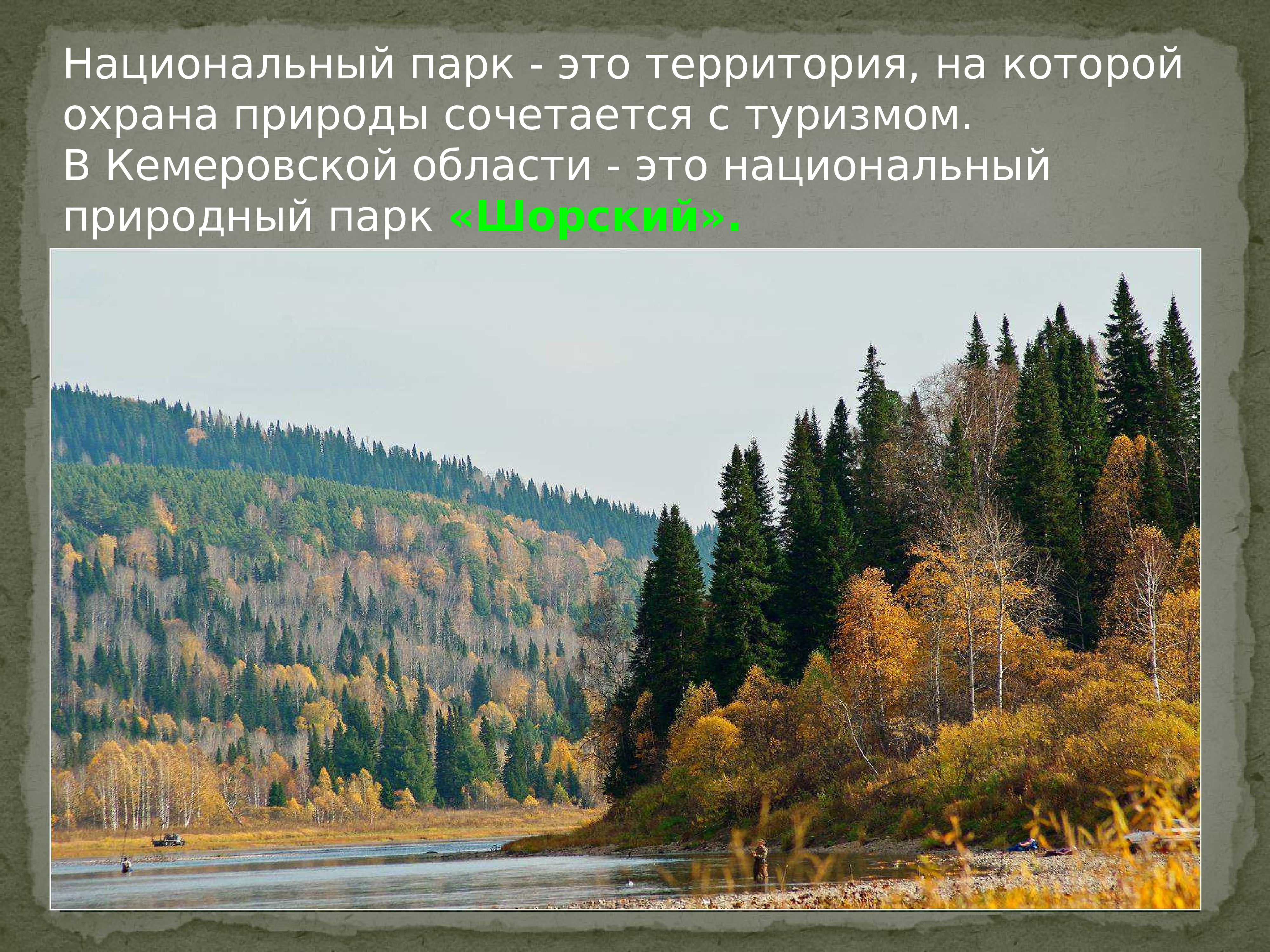 Природа кузбасса презентация