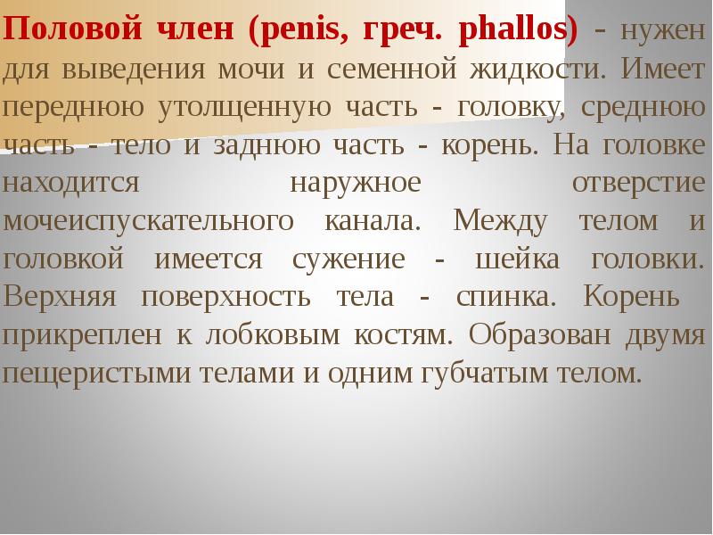 Хитрый мудак увеличил половой член за счёт компании