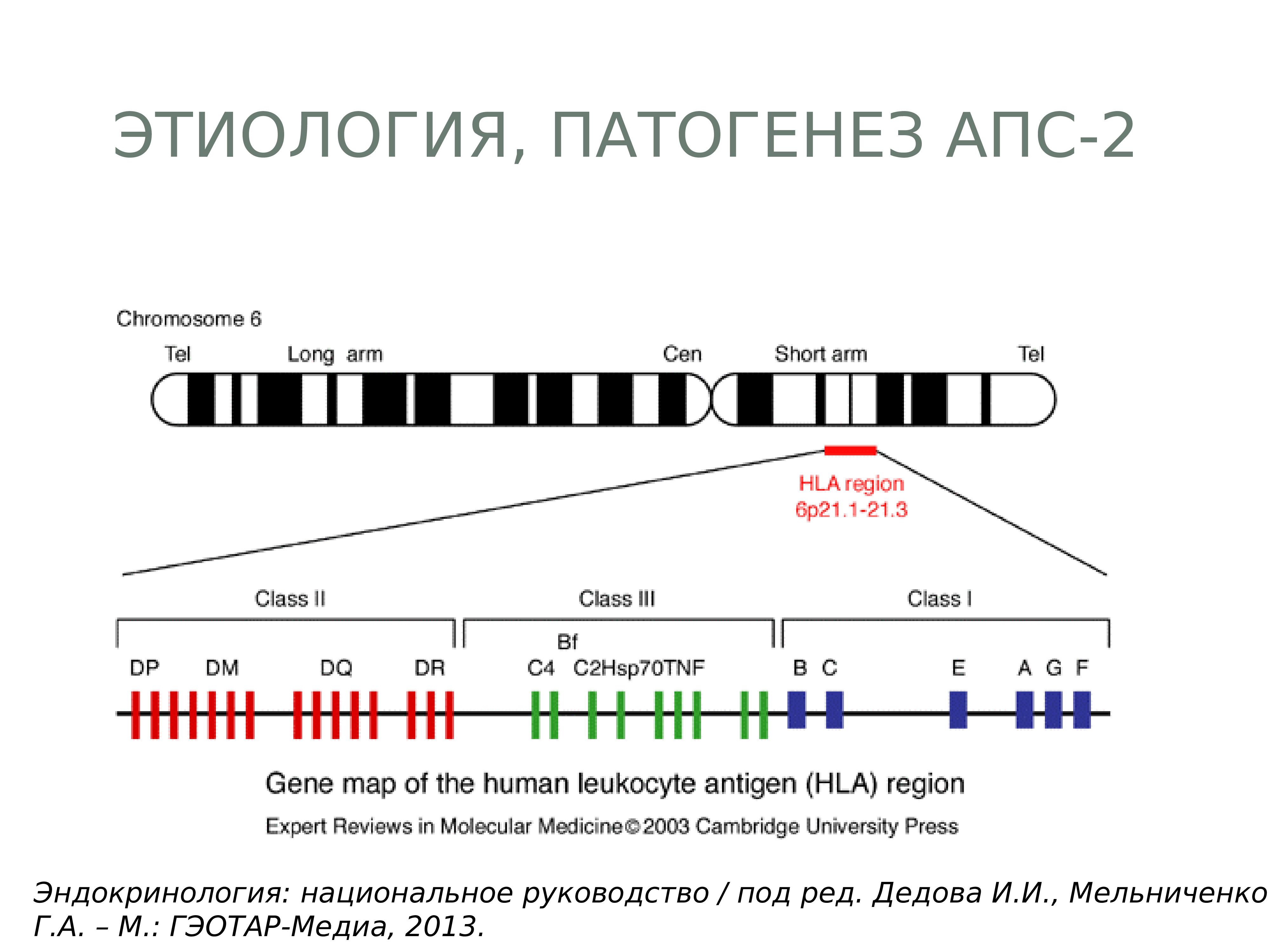 Презентация ленинг апс