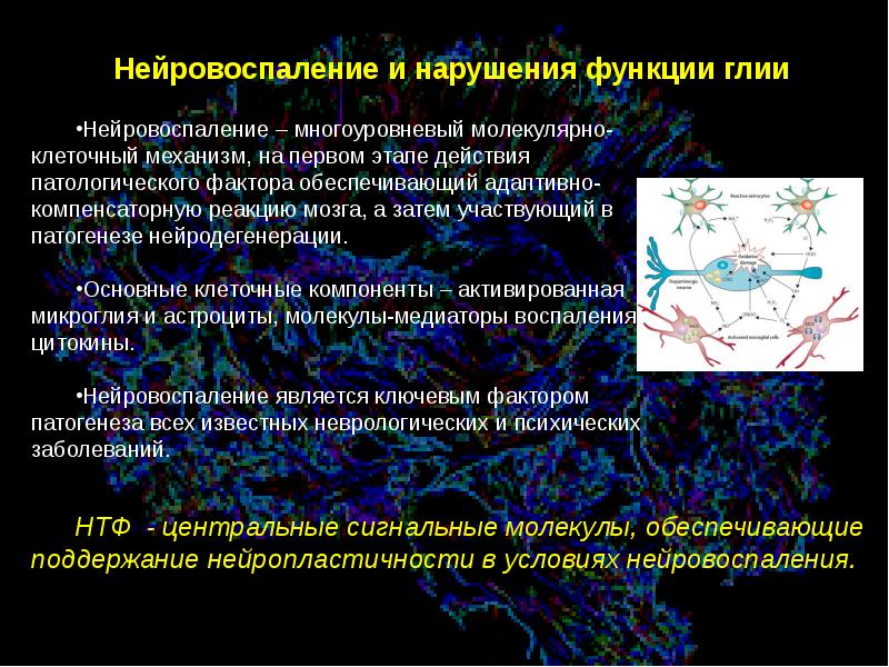 Нейровоспаление. Признаки нейровоспаления. Нейровоспаление маркеры. Нейровоспаление цитокины.