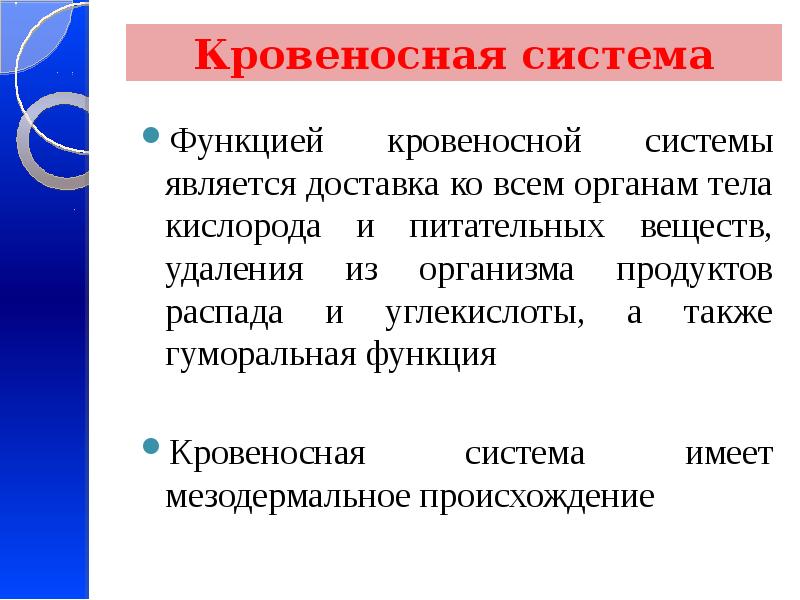 Кровеносная функция выполняет. Кровеносная функция выполняет
