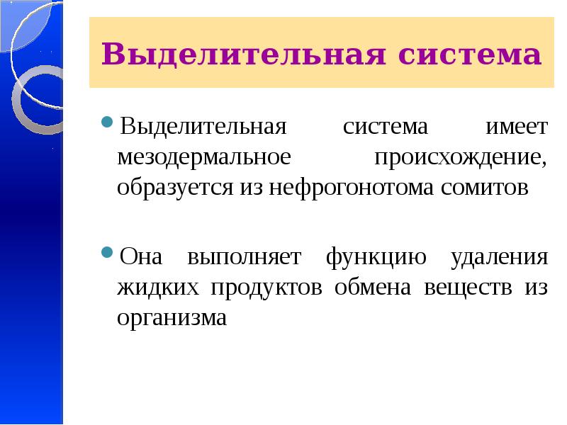 Выделительная система Выделительная система имеет мезодермальное происхождение, образуется из нефрогонотома сомитов
