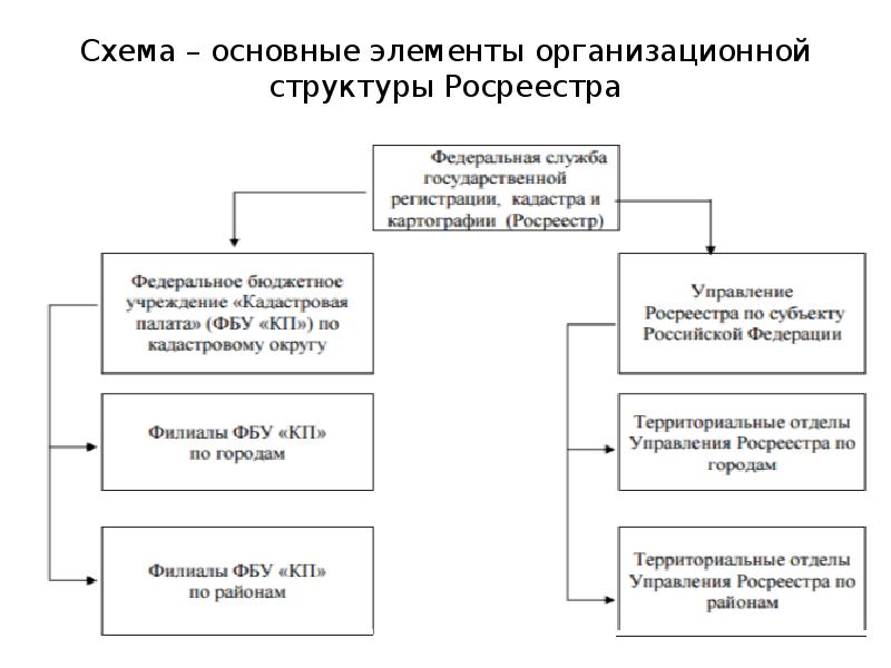 Виды кадастров. Росреестр структура управления. Структура Росреестра РФ схема 2020. Схема организационной структуры земельного кадастра. Составьте схему организационной структуры Росреестра.