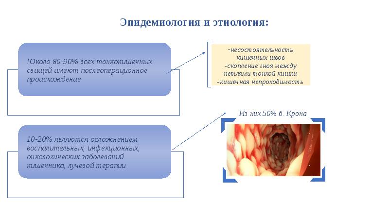 Заболевания прямой кишки факультетская хирургия презентация