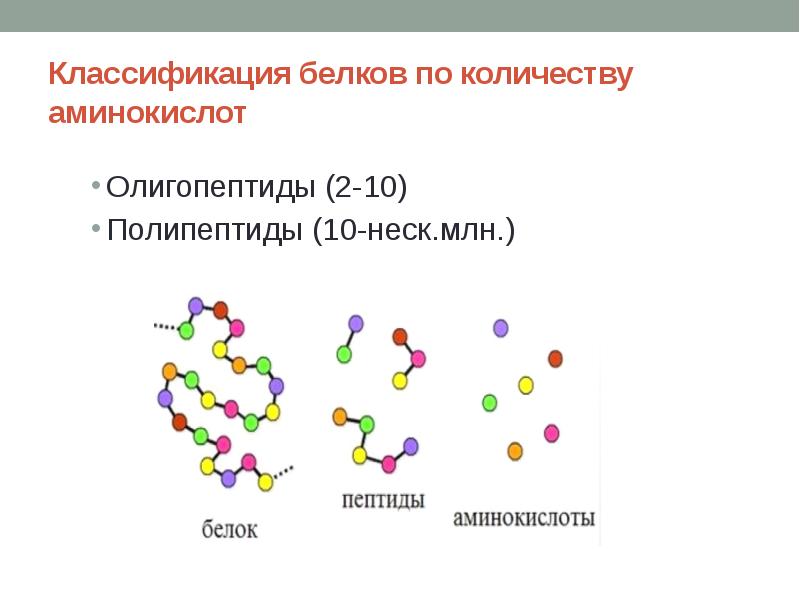 Белки аминокислоты картинки